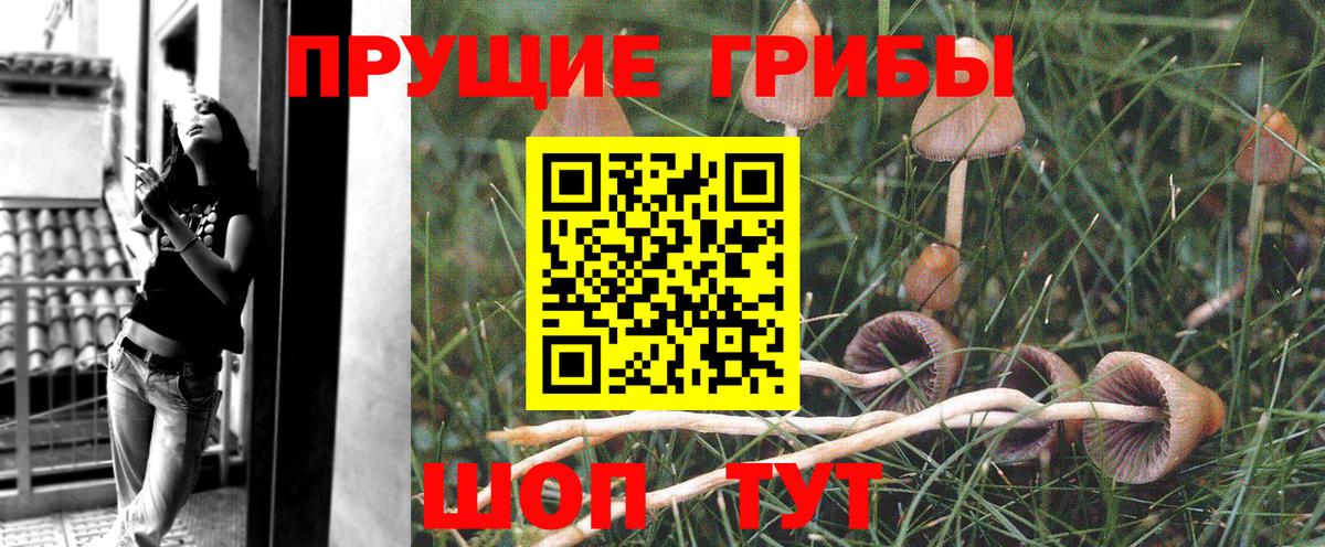 Псилоцибиновые грибы мухоморы Саров